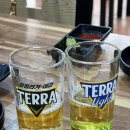 상남동122 | 창원 상남동 동작그만 꽃새우회 후기 상남동 새우맛집 추천