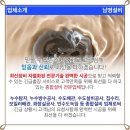 설비언수도녹임집수리 이미지