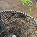 지니오토 | 한산도 통제영 오토캠핑장 후기｜페리 타고 들어가는 오션뷰 섬 캠핑