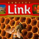 펀펀잉글리쉬학원 이미지