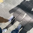 20220908 대구 라이온즈 파크 원정 직관 후기 롯데 vs 삼성/ 1루 익사이팅석 1열 후기/ 대구 맛집/ 유창...