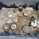 원주에이원공인중개사사무소 이미지