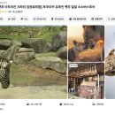 리얼클릭족욕 - 서구 승학로 223 | 소소버스투어 유후인 아프리칸사파리 당일투어 후기
