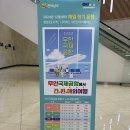 [🇹🇼대만여행 계획] 12월 무안 타이베이 3박 5일 가족여행 계획ㅣ진에어 무안출발 항공권ㅣ파크시티호텔...