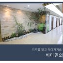 비타민피부과의원 이미지