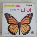두리하나몬테소리 | 돌 전후 전집 추천 모음 - 병아리 자연관찰, 푸름이까꿍, 그레이트북스 도레미곰, 프뢰벨 영아테마동화