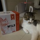 유카센타 | [내돈내산 리뷰] FD WILD 치킨 내돈내산｜중국산이 걸리지만 재구매 하는 고양이 동결건조 사료