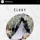 엘로디(Elody) 이미지