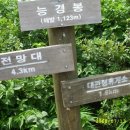 삽당교