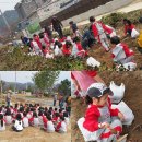 전주남초병설유치원 이미지