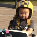 모들펫살롱 이미지