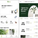초보식물 집사들을 위한 홈가드닝 이미지