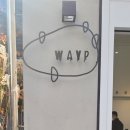 웨이프(WAYP) 이미지