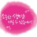 동백어린이집 이미지