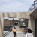 블랙야크비자트제주 이미지
