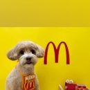 단추펫살롱 이미지