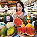 멜론플러스마트