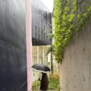 여주(강릉) 이미지