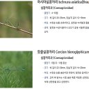 하단동1211 이미지