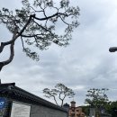 양평읍 양평물맑은전통시장 내 | 경기도 양평 천주교 양근성지