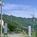 진수캠퍼스 양산 반려동물 동반 개별 방갈로 캠핑 바베큐 명소