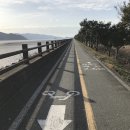향촌리 티스토리