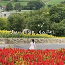 우정팜 | 삿포로 비에이 버스투어 추천 사계채의언덕 팜토미타 당일투어
