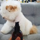 헤이브로 이미지