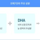 참치사한연어