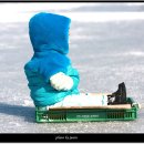 두창낚시터 이미지