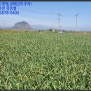 상모리-26 이미지