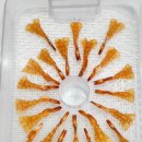 다담다디저트