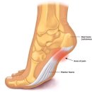 마디탄탄병원 이미지