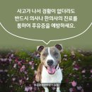 시청앞경희한의원 이미지