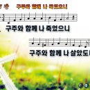 구주 이미지