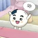 [치이카와 직구]치이카와 마켓 짐패스 배대지로 직구 후기