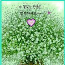 채윤언니 이미지