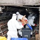 금지농장 이미지