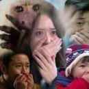 면짱 이미지