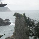 제주 올레길 7코스 이미지