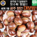 대보 이미지