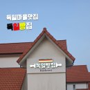 남해여행 필수 코스래요! 독일마을의 르뱅스타 독일빵집 후기..