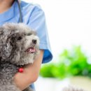 광주첨단YB동물병원 이미지