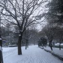 분당야탑3-A-6 이미지