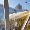 842 | 인천-싱가포르 스쿠트 항공 TR843 TR842 이용 후기