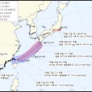 이루핏 이미지