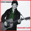 Steve Forbert - Romeo's Tune 이미지