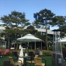 메르블루 이미지