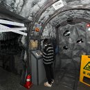 야생화마을 추리본부 이미지