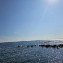 푸른종합동물병원 이미지